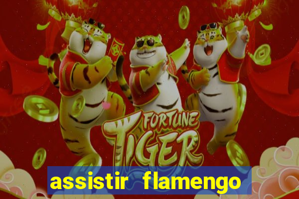 assistir flamengo sem travar